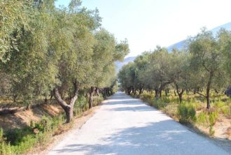 The drive to Borsh (image)
