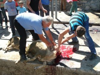 Albania Land of Sacrifice (photo)