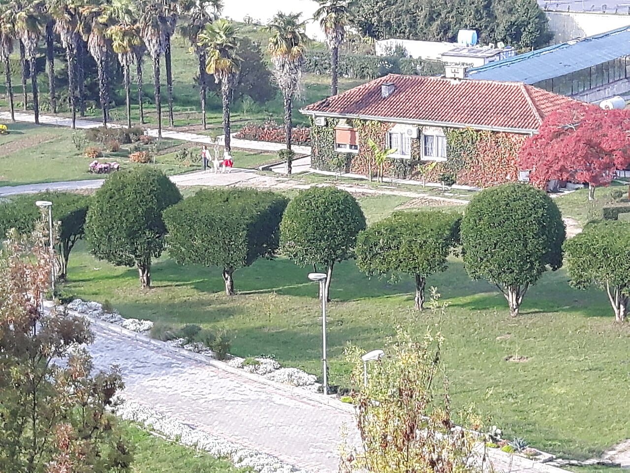 A shaded path through the Botanical Garden of Tirana, next to the Grand Park