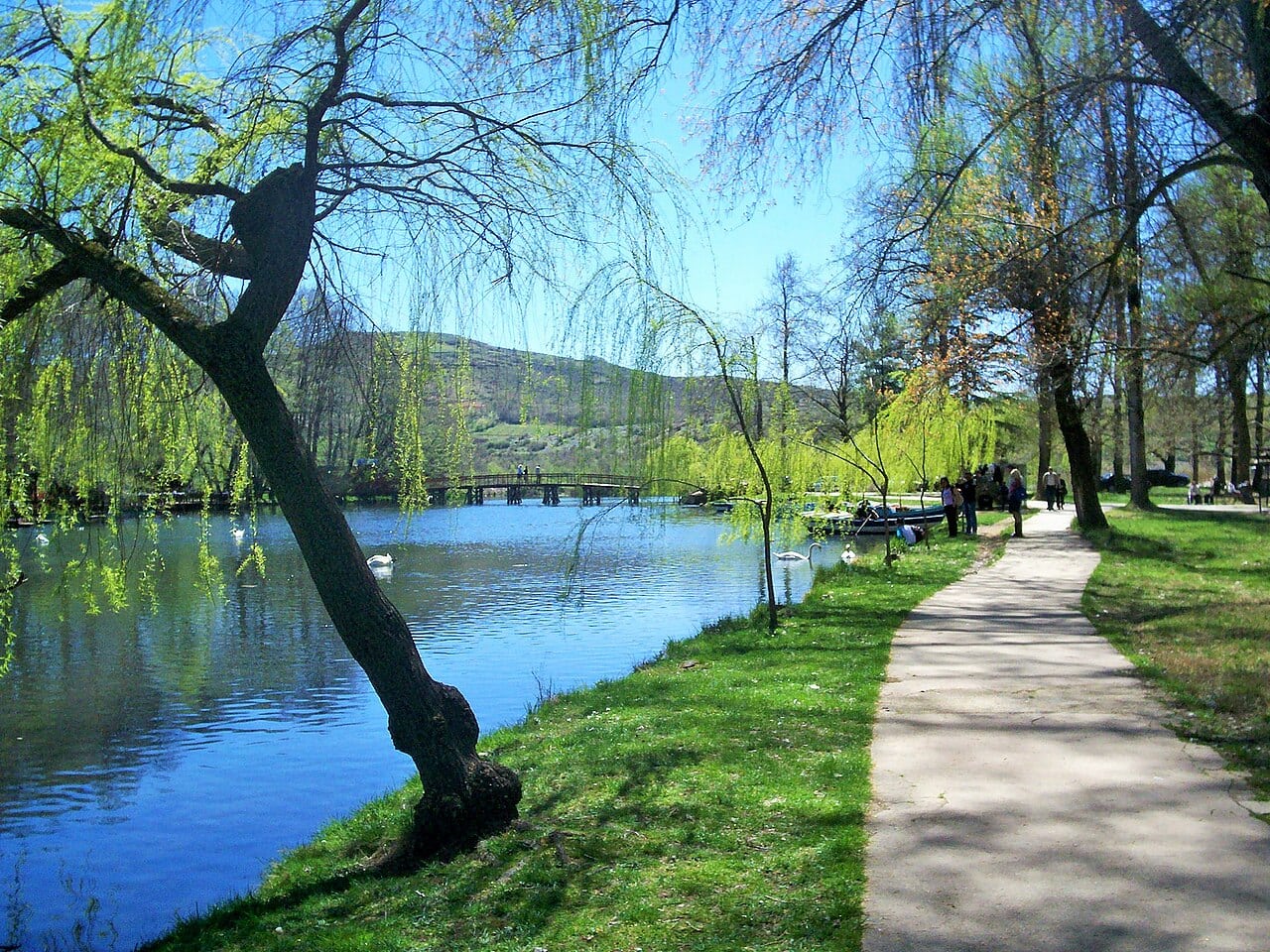 Crystal-clear karst springs and canals at Drilon Park near Pogradec, Albania